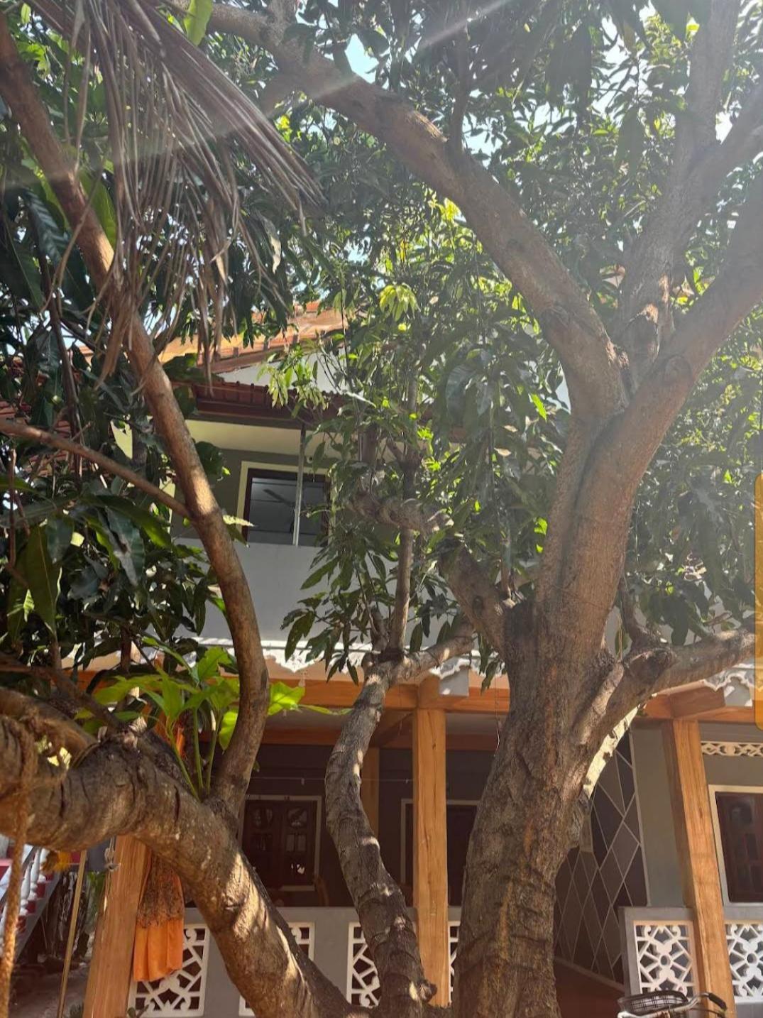 Enoch Guest House Mannar Ngoại thất bức ảnh